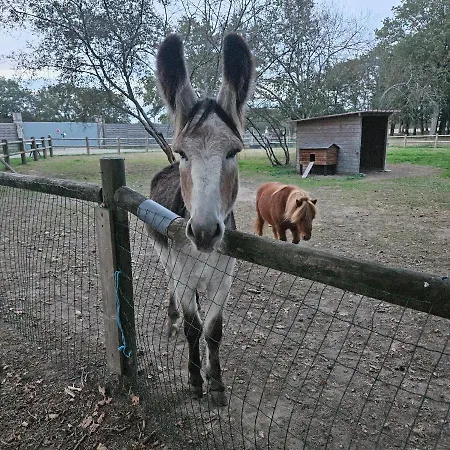 Mh-maufay -- Mobil-home -- Puy Du Fou - 30 Min Domek alpejski La Boissiere-de-Montaigu