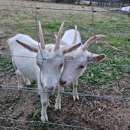Alpehytte Mh-maufay -- Mobil-home -- Puy Du Fou - 30 Min *