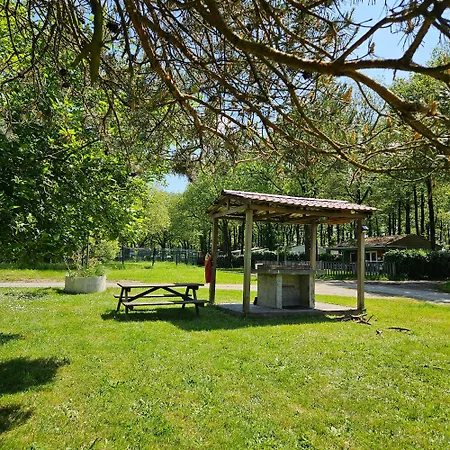 Mh-maufay -- Mobil-home -- Puy Du Fou - 30 Min La Boissiere-de-Montaigu