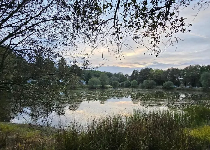 Mh-maufay -- Mobil-home -- Puy Du Fou - 30 Min シャレー *